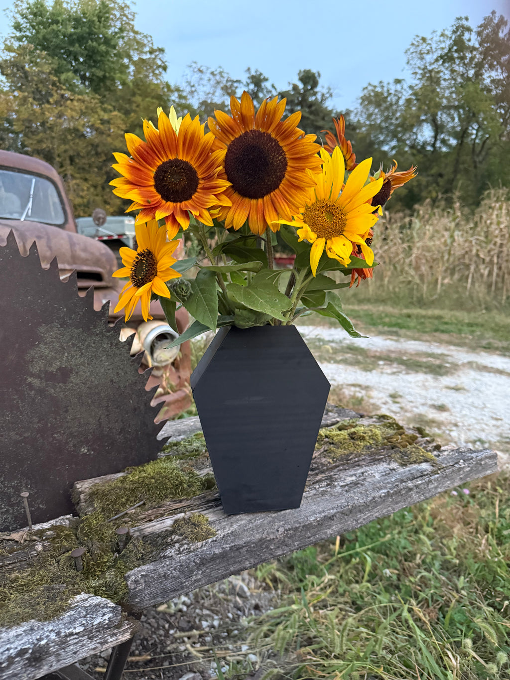 Black Coffin Shaped Flower Vase, Gothic Style Decorative Vase