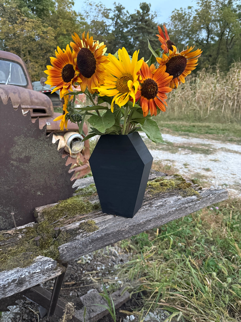 Black Coffin Shaped Flower Vase, Gothic Style Decorative Vase