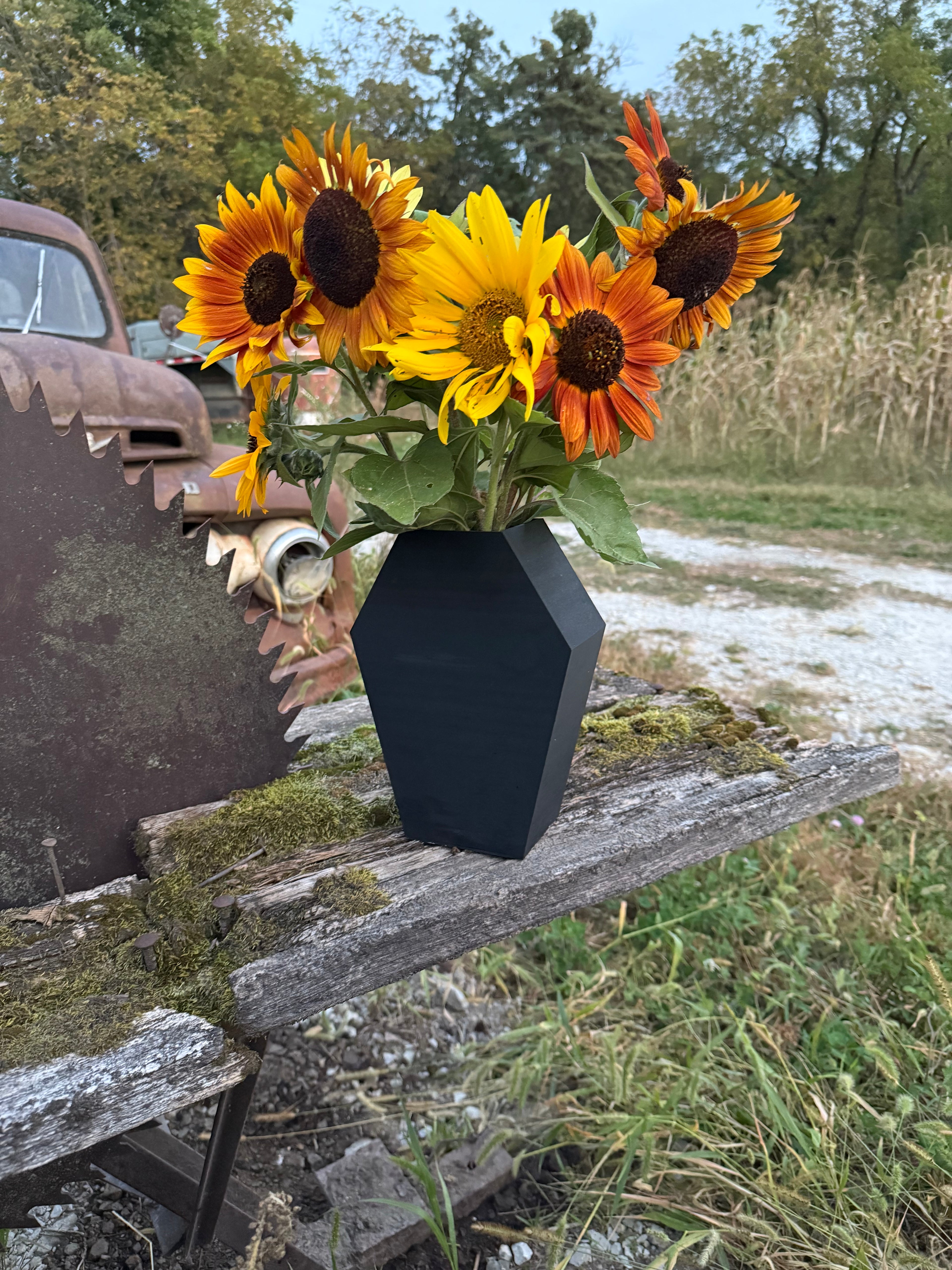 Black Coffin Shaped Flower Vase, Gothic Style Decorative Vase